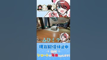 なんか勝ったｗ #shorts #apex #apex女子 #ゲーム実況 #虎走茉莉