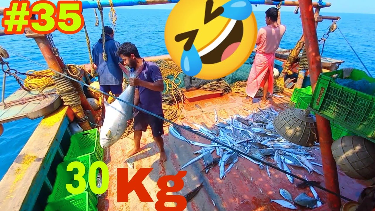 Pate 35 10 MILLION BIG FISHES AND SAMUNDAR River Fish Everyday caught