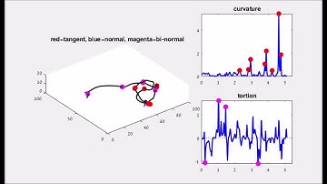 The 3D architecture of a bacterial swarm has implications for antibiotic tolerance