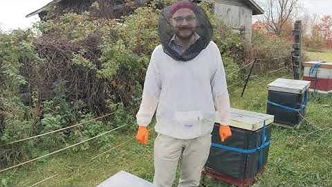 Testing Out the Betterbee Packable Jacket