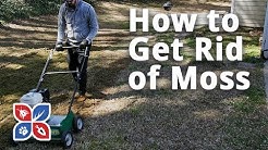 Do My Own Lawn Care - Episode 8 - How to Get Rid of Moss