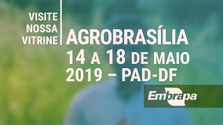 Lançamento soja BRS 7581RR - 15/05/2019 Agrobrasília