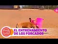 Toros para todos | El entrenamiento de los forcados en su tauromaquia ancestral