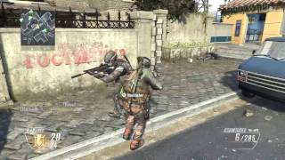 [Black Ops 2 Wii U] Mod Injector Player Data Editor Update [God Mode, Ammo, 3rd Person, Perks]