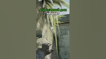 [CS2 Nade] Фаст смок на шорт для агрессии