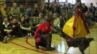 Iv Tydzień Zdrowia I Profilaktyki