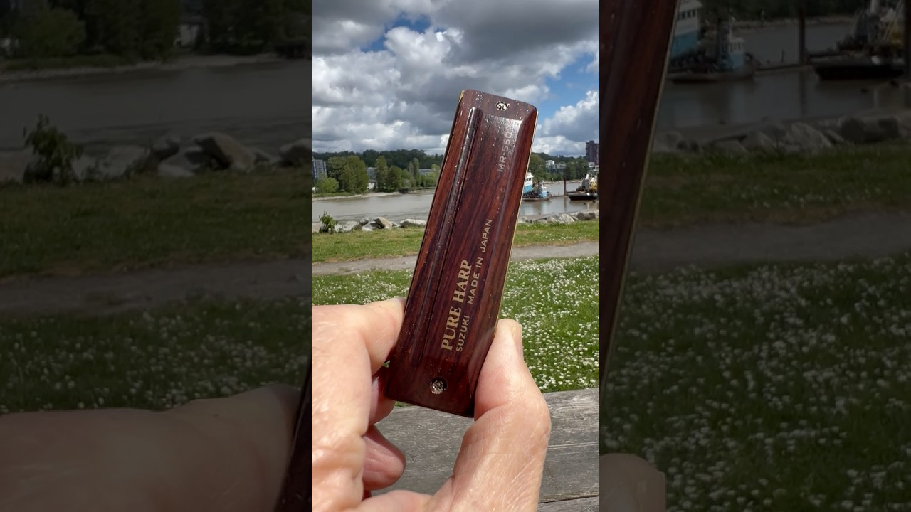 Suzuki Pure Harp MR-550 Rosewood #Harmonica - YouTube