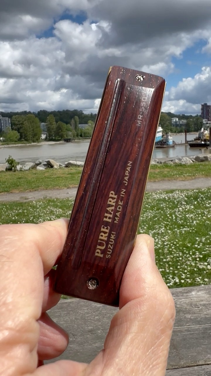 Suzuki Pure Harp MR-550 Rosewood #Harmonica - YouTube