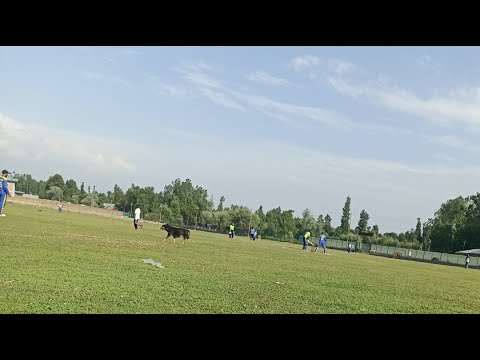 VILLAGE LEVEL KNOCK OUT TOURNAMENT IN SUMBAL SONAWARI