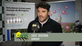 José Tverna    SUMIDAS