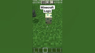Minecraft Logic😂🤣😁part#6... #shortvideo #youtubeshorts #minecraft #video #viral #shorts #logic