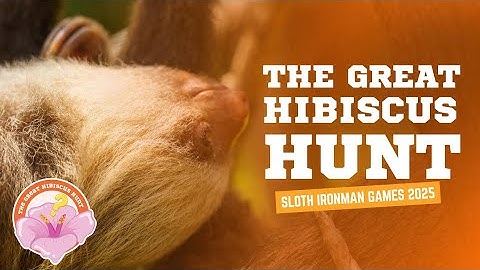 🌺 THIRD GAME: The Great Hibiscus Hunt | 2025 Sloth Ironman Games