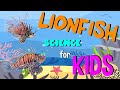 Lionfish Learning Quiz