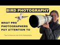 Bird photography  what pro photographers pay attention to