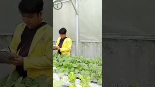 Praktikum Unit 1 Manajemen Agribisnis di Usaha Agribisnis Mulyo Hidrofarm, Kota Batu Jawa Timur