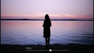 Trinix - She Said (Big Jet Plane)