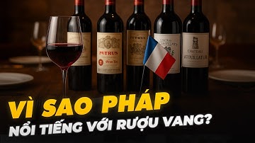 VÌ SAO PHÁP NỔI TIẾNG VỚI RƯỢU VANG?