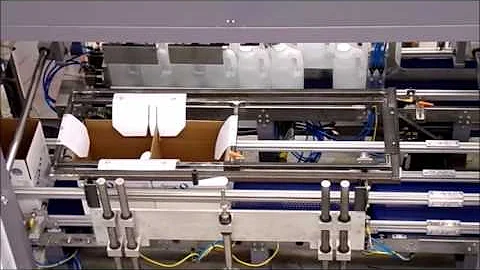 350CP Case Packer Gallons Wepackit Machinery