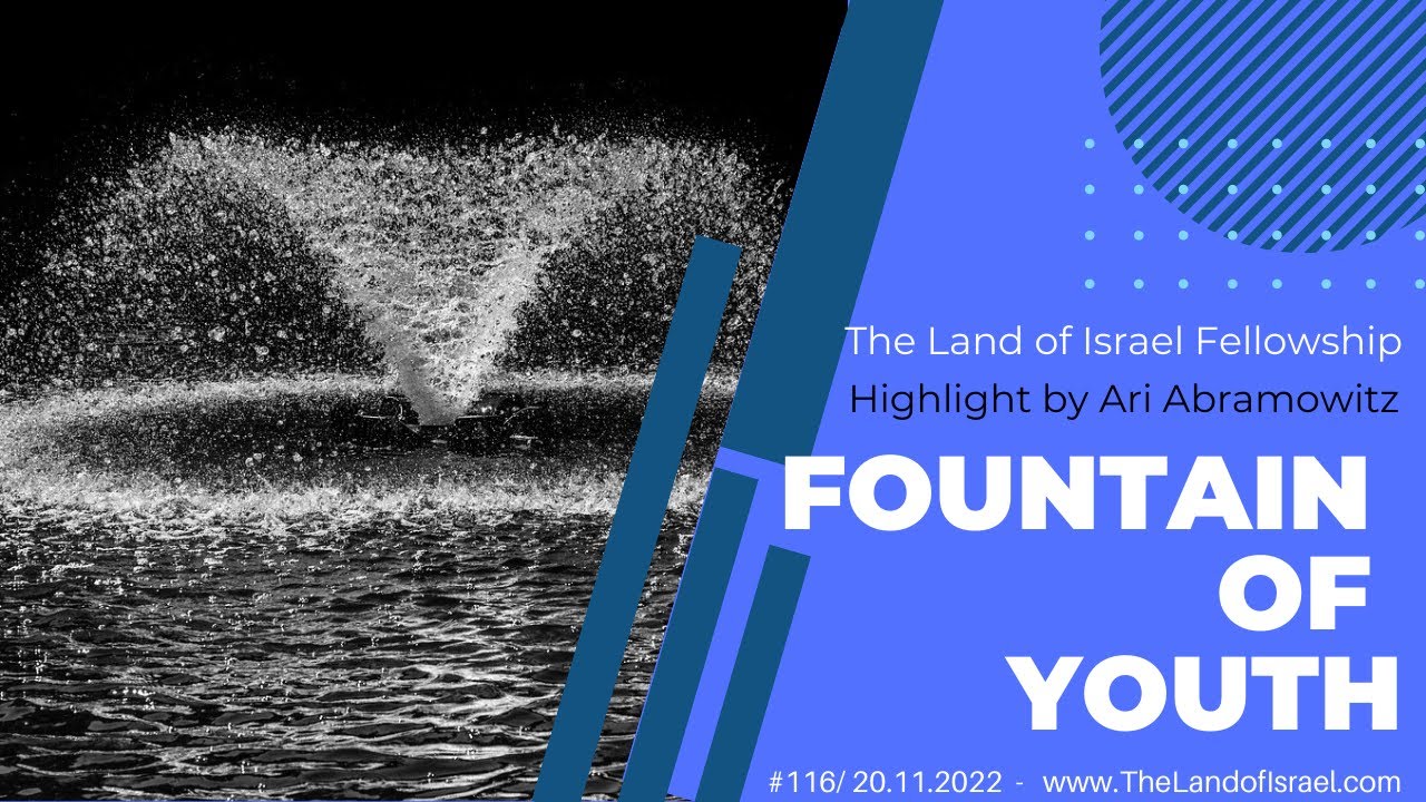 Fountain of Youth - Ari Abramowitz: The Land of Israel Fellowship