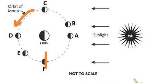PHY1114 Module 3 Skills Test - Causes of Moon Phases