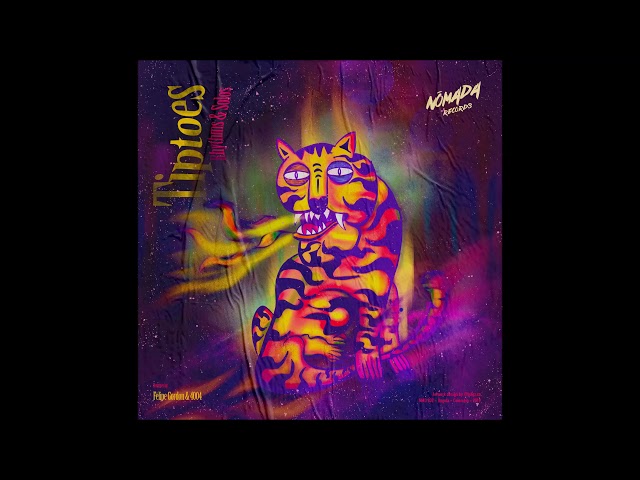 Tiptoes - Rhythms & Solos (Felipe Gordon Remix)