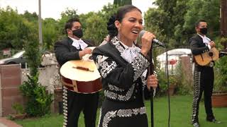 Serenata De Mi Casa: 