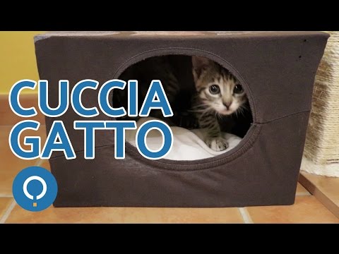 Cuccia Gatto Fai Da Te Attività Manuali Per Gatti Youtube
