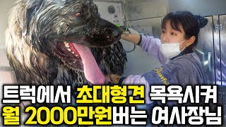 &quot;대기업보다 많이 버는 이유가 있습니다&quot; 초대형견 목욕시켜 월 2000만원 버는 여사장님