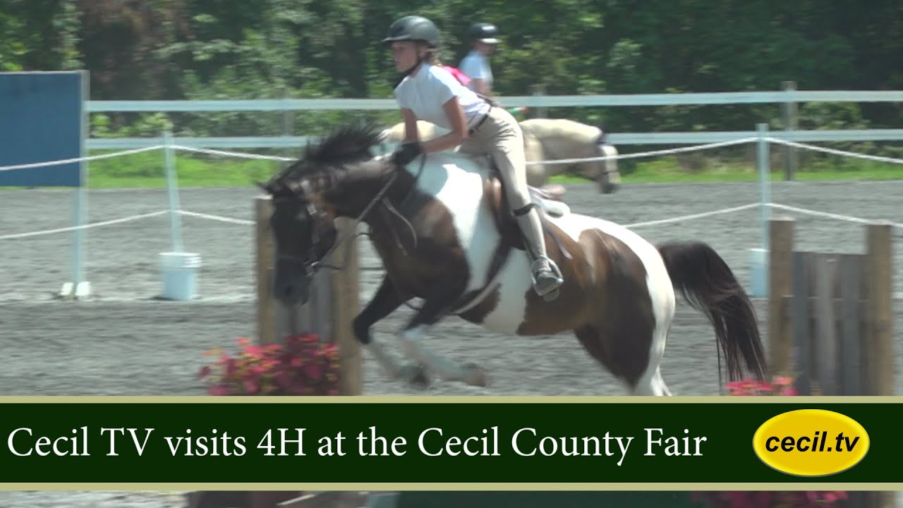 Cecil TV visits 4H at the County Fair.
