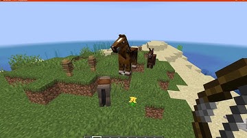 The Loved Ones 1.14.4, 1.15.2 & 20w13b (1.16) Fabric Mod Overview