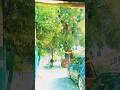 Sagar Limbu Shorts New Vlog Sound Nepali Sound Best Viralshort 2025 Sagar Limbu Shorts New Vlog Sound Nepali Sound Best Viralshort 2025