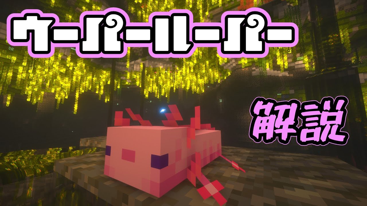 マイクラ解説 ウーパールーパー編 繁殖 色の確率 スポーン 見つけ方 Yakoの秘密基地