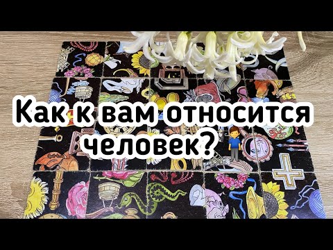 Как к вам относится человек?🧍‍♂️Гадание пасьянс расклад онлайн бесплатно и без оплаты 200 точно