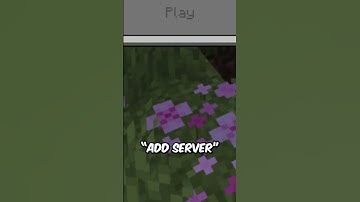THE DEADLIEST MINECRAFT SERVER..