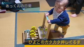 あっくんとひよこのカタカタ押しぐるま