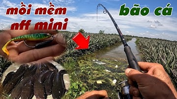 Câu Lure Cá Lóc ✅ Thử Câu Cá Lóc Vườn Khóm Tân Phước Bằng Mồi Mềm Mini Và Cái Kết| Tâm Râu Vlog #378