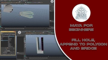 02 - Fill Hole, Append to Polygon and Bridge