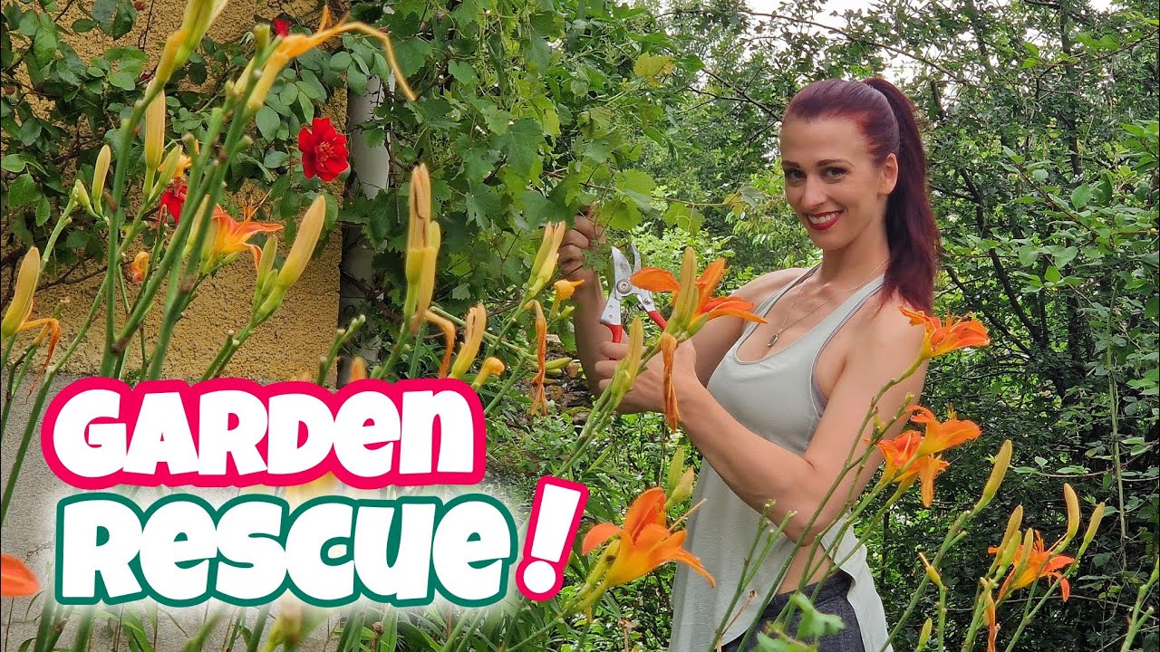 EMERGENCY GARDEN RESCUE! - YouTube