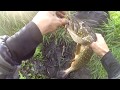 ЛУЖА Заполнена ЩУКАМИ!!! (Как такое возможно?)