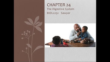 Chapter 24 Lecture Video