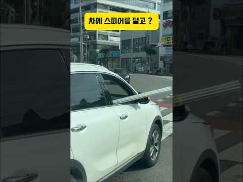 차에 이러고 다니면 절대 앙됩니다