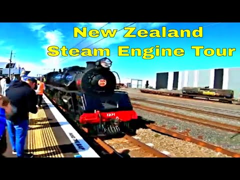 Auckland Train Tour | Things To Do In Auckland | New Zealand Travel