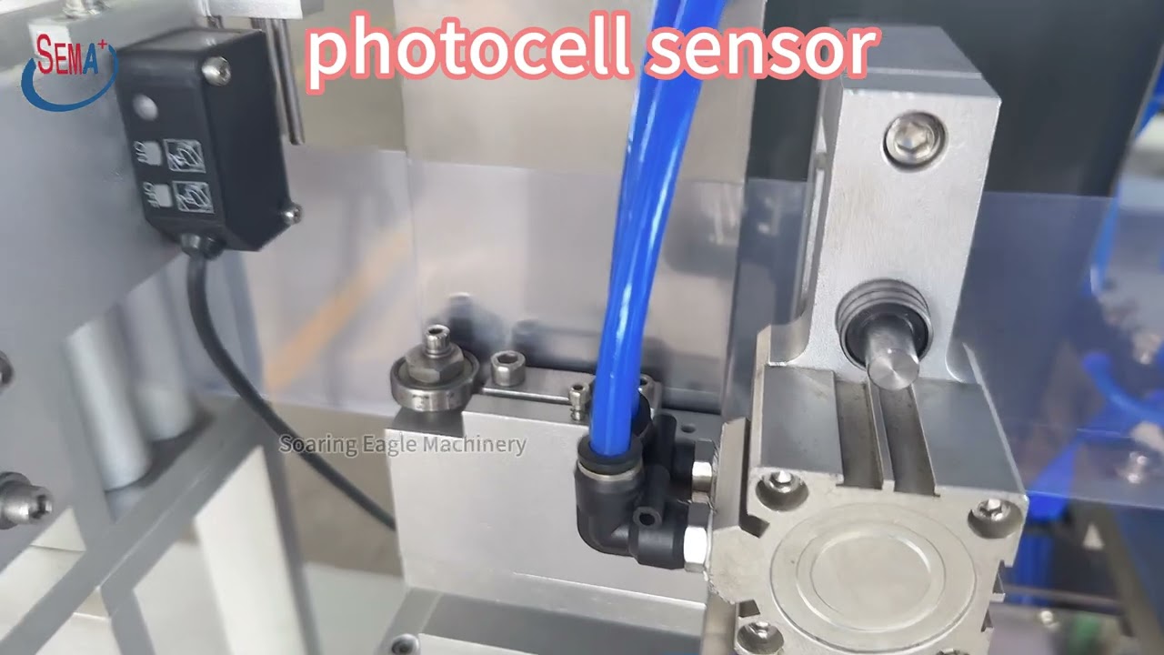 131. DGS240S Olive Oil Filling Machine