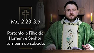 Homilia Diária | 9º Domingo do Tempo Comum (Mc 2,23-3,6)