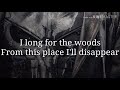 The White Buffalo - The Woods Lyrics