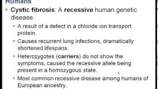Chapter 7, Part II (Punnett squares, genetic disorders)