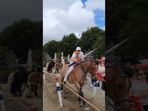 🐴 Ringrijden Vlissingen 🇳🇱  Netherlands @TravelwithHugoF #ringrijden #vlissingen