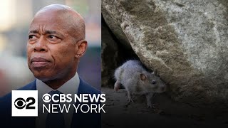 Is New York City Mayor Eric Adams war on rats working?