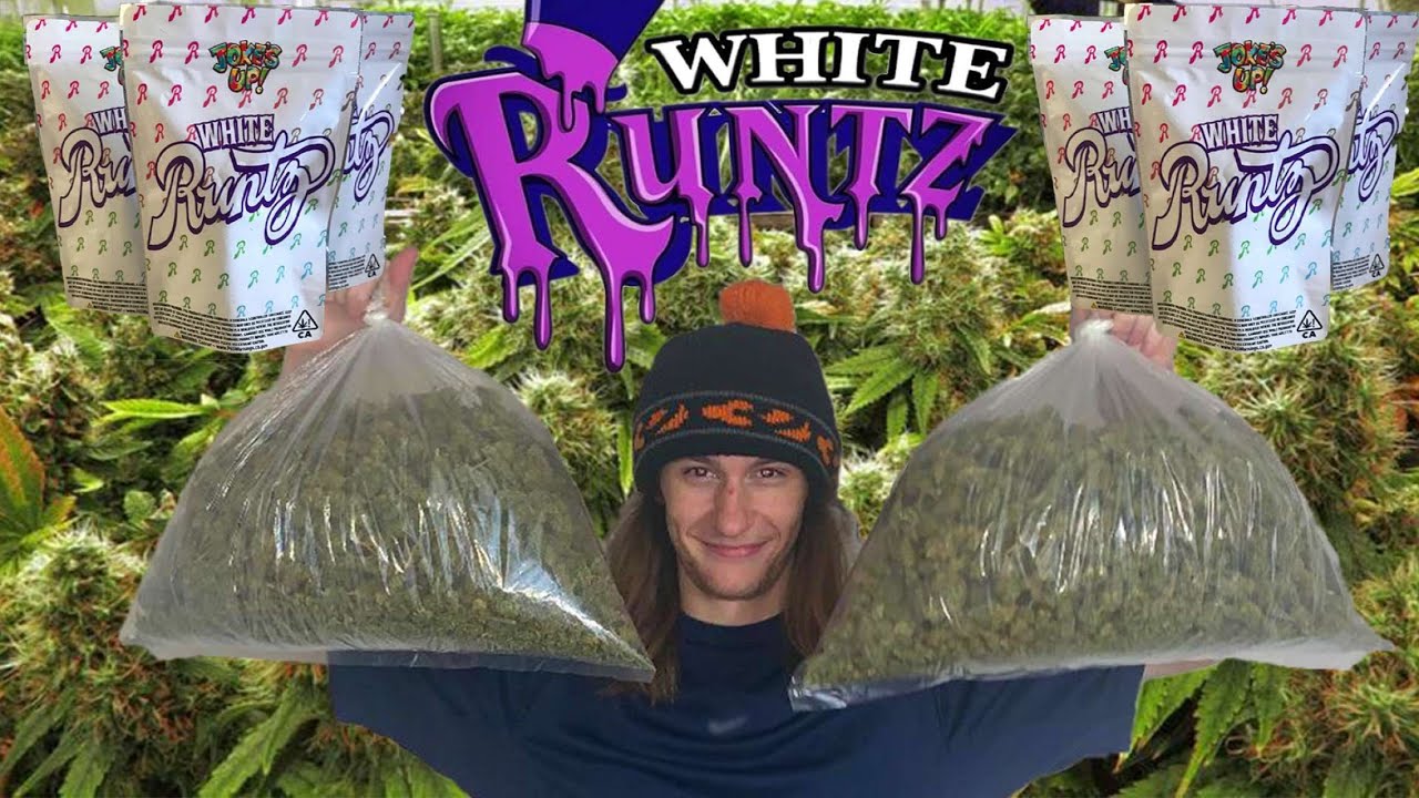 How Much Is A Pound Of White Runtz