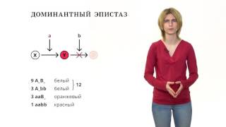 видео Реферат по биологии на тему 